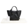 Celine Big Bag Small