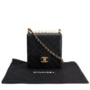 Chanel Crystal Pearl Square Flap Bag
