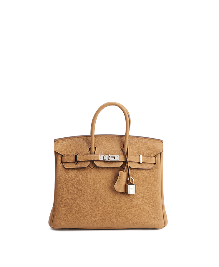 Hermes Birkin 25 – (ex)bags