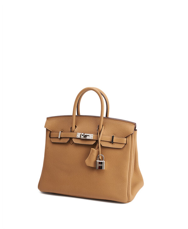Hermes Birkin 25 – (ex)bags