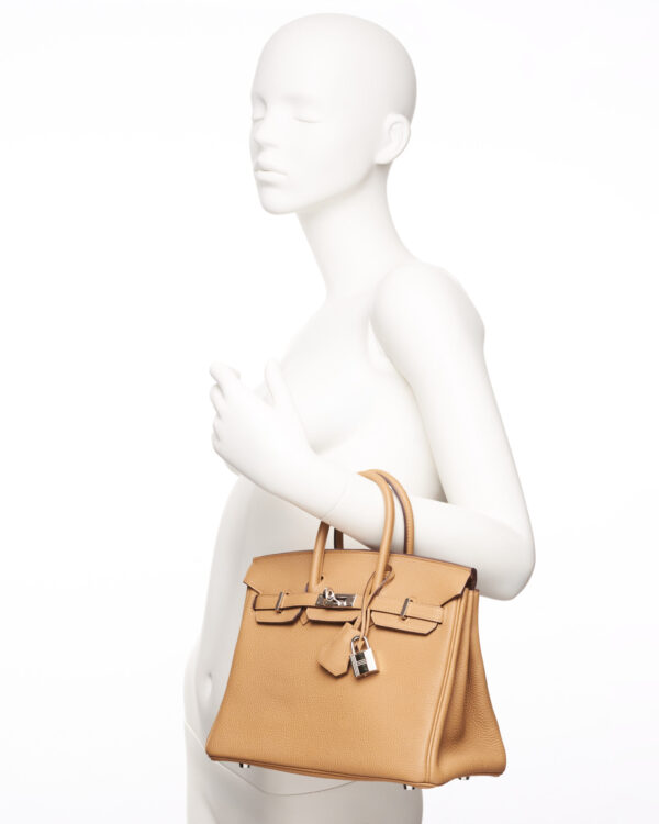 Hermes Birkin 25 – (ex)bags