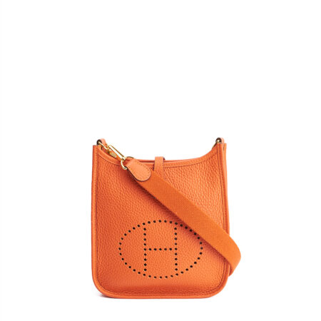 Hermes Evelyne 16 TPM – (ex)bags