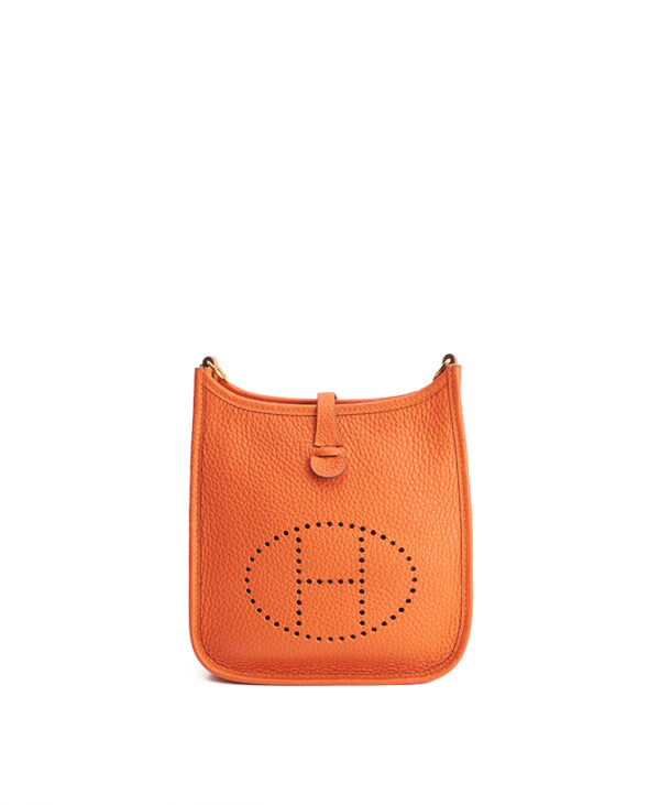 Hermes Evelyne 16 TPM – (ex)bags