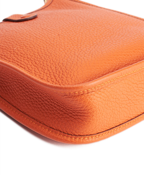 Hermes Evelyne 16 TPM – (ex)bags