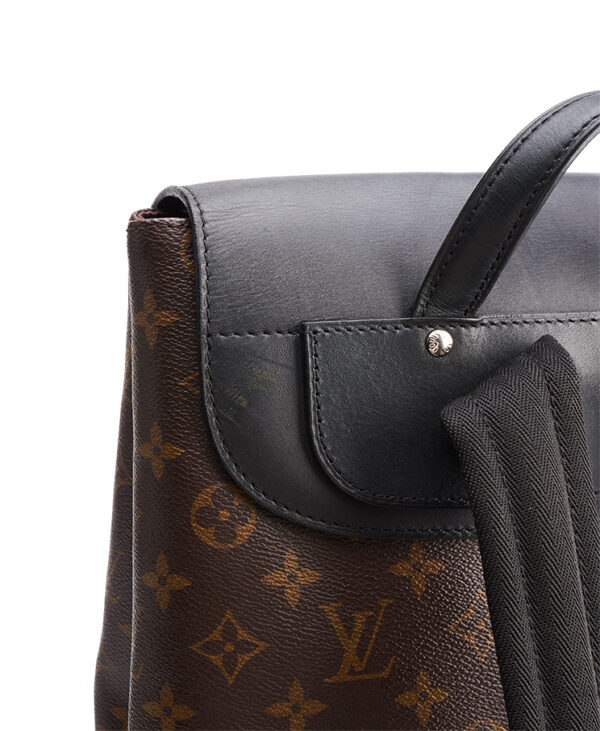 Louis Vuitton Palk Backpack – (ex)bags