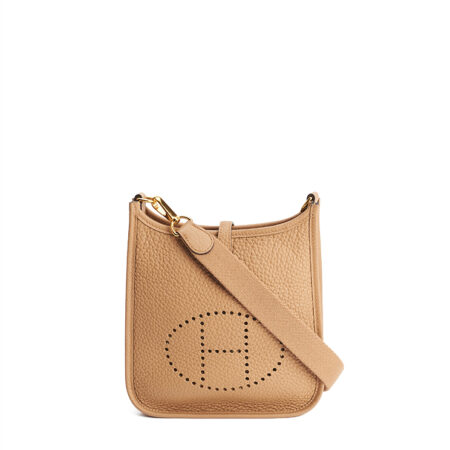 Hermes Evelyne 16 TPM – (ex)bags