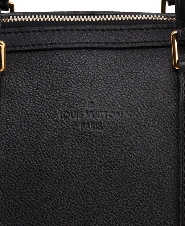 Louis Vuitton Sofia Coppola PM – (ex)bags