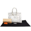Hermes Bandana Birkin 35 x Jay Ahr