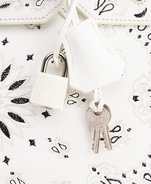 Hermes Bandana Birkin 35 x Jay Ahr – (ex)bags
