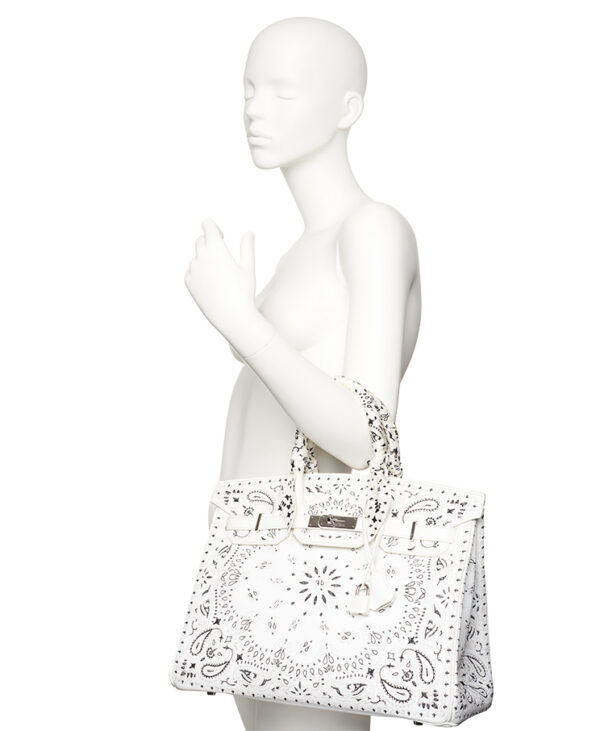 Hermes Bandana Birkin 35 x Jay Ahr – (ex)bags