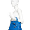 Hermes Birkin 25