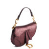 Dior Saddle Mini