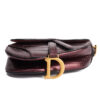 Dior Saddle Mini
