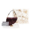 Dior Saddle Mini