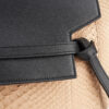 Celine Belt bag Mini