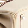 Hermes Birkin 25