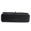Chanel Classic Double Flap Medium