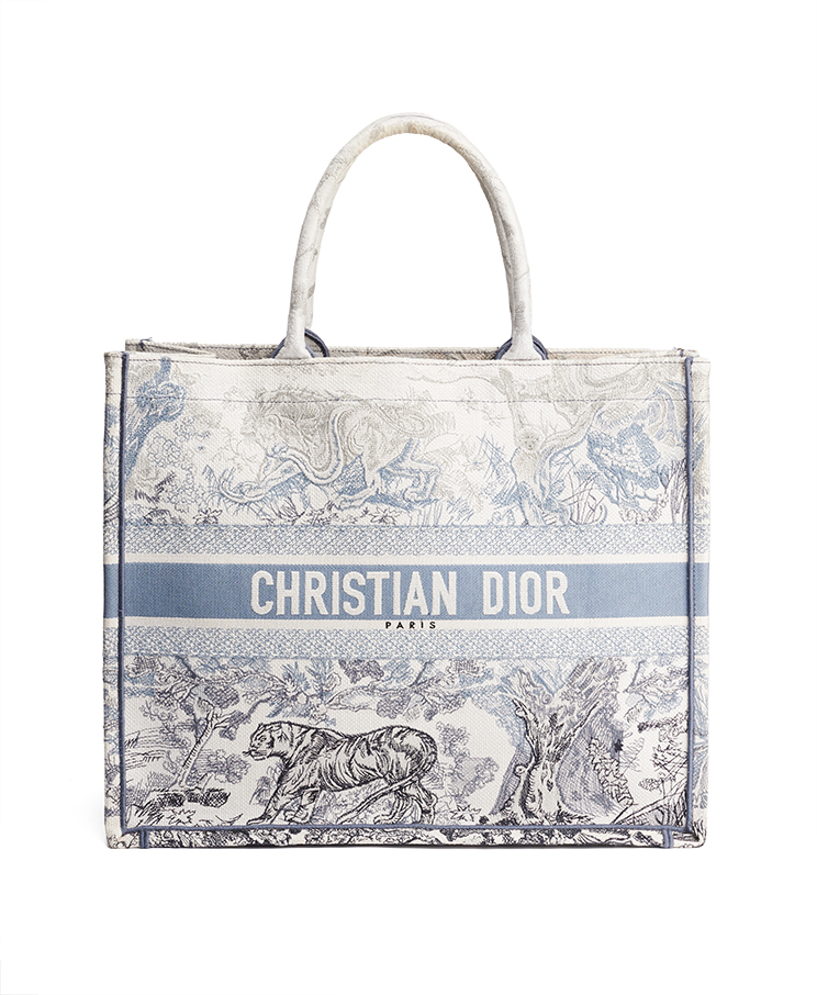Dior Book Tote Large – (ex)bags