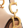 Dior Saddle Medium