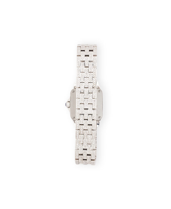 Cartier Santos Demoiselle – (ex)bags