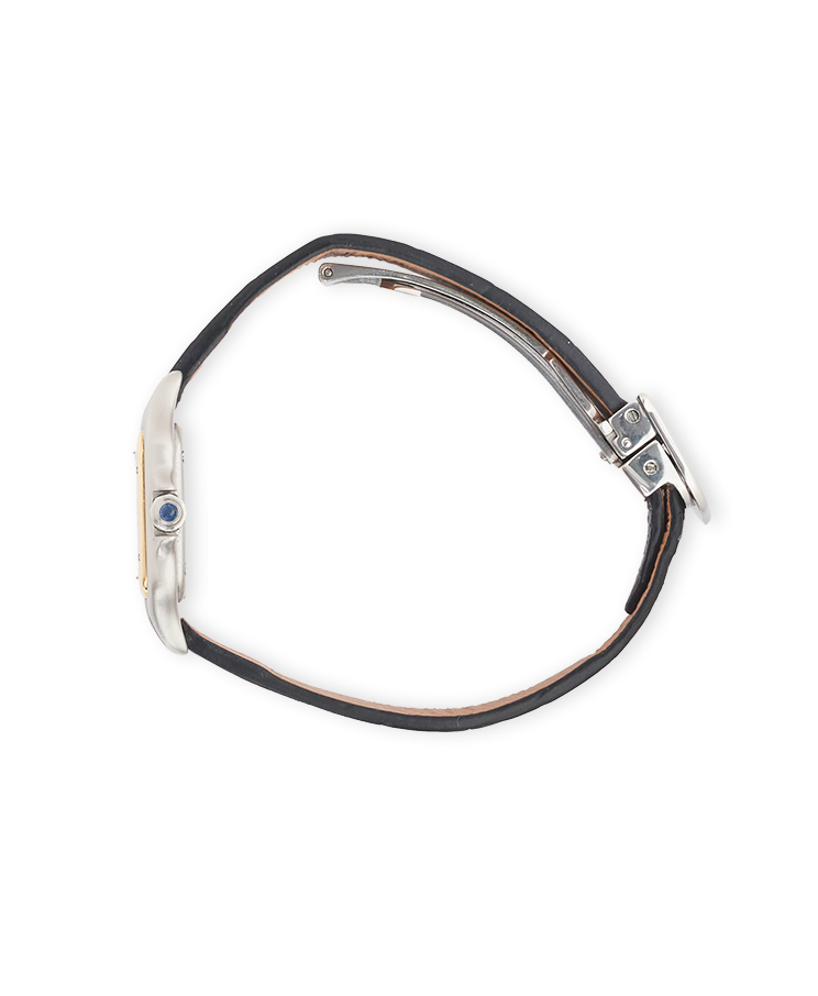 Cartier Panthère De Cartier