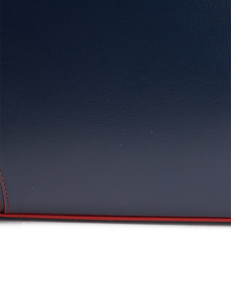 Celine Luggage Micro