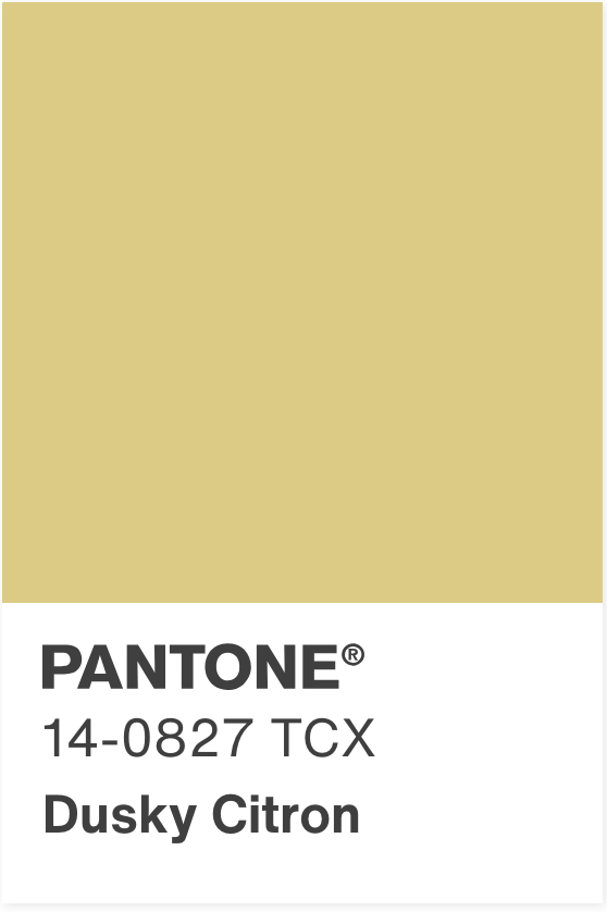 Prada Re-Edition 2000