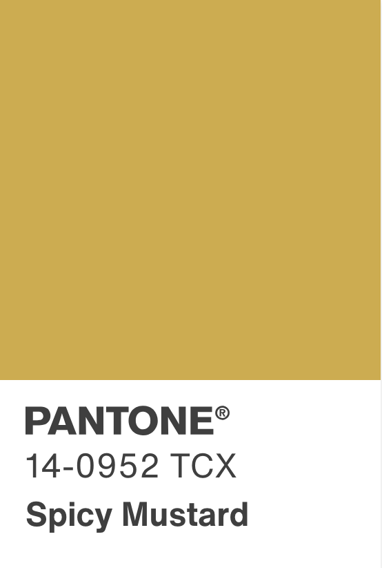 Bottega Veneta Daisey Crossbody Bag