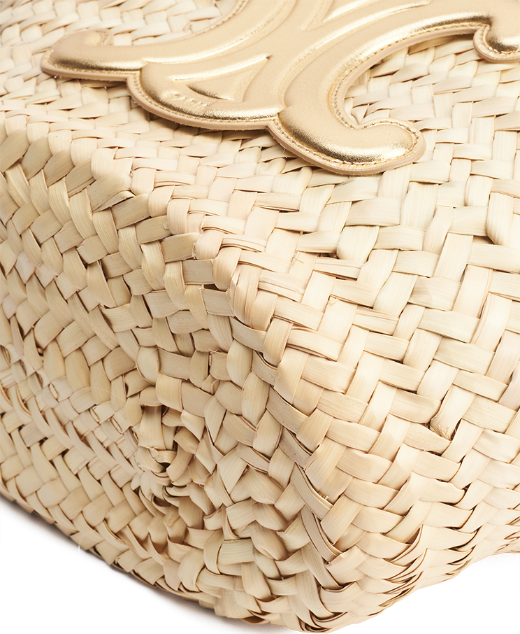 Celine Triomphe Classic Panier Tote Teen