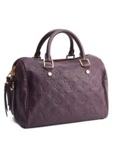 Louis Vuitton Speedy Bandoulière 25