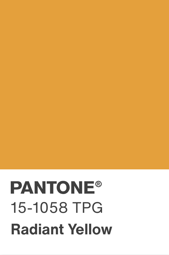 Jacquemus Le Grand Bambino