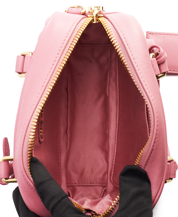 Miu Miu Arcadie Mini