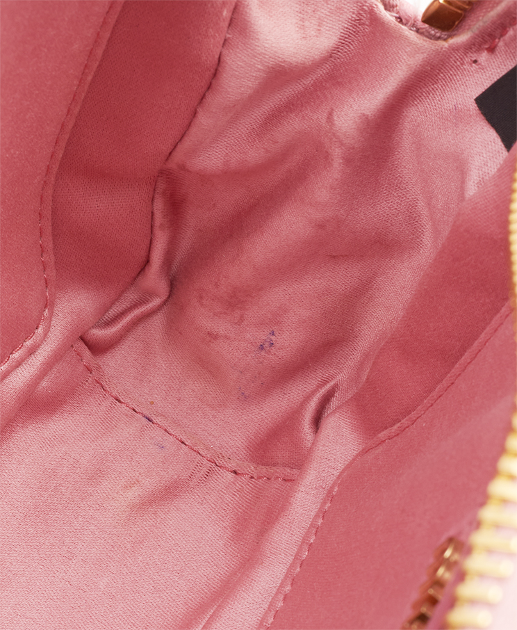 Miu Miu Arcadie Mini