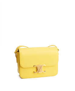 Celine Triomphe Bag Teen