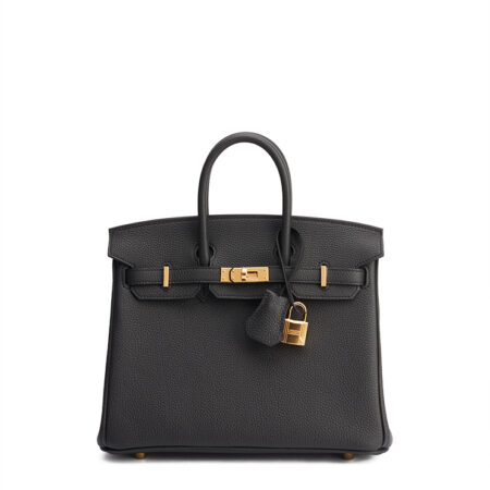 Hermes Birkin 25