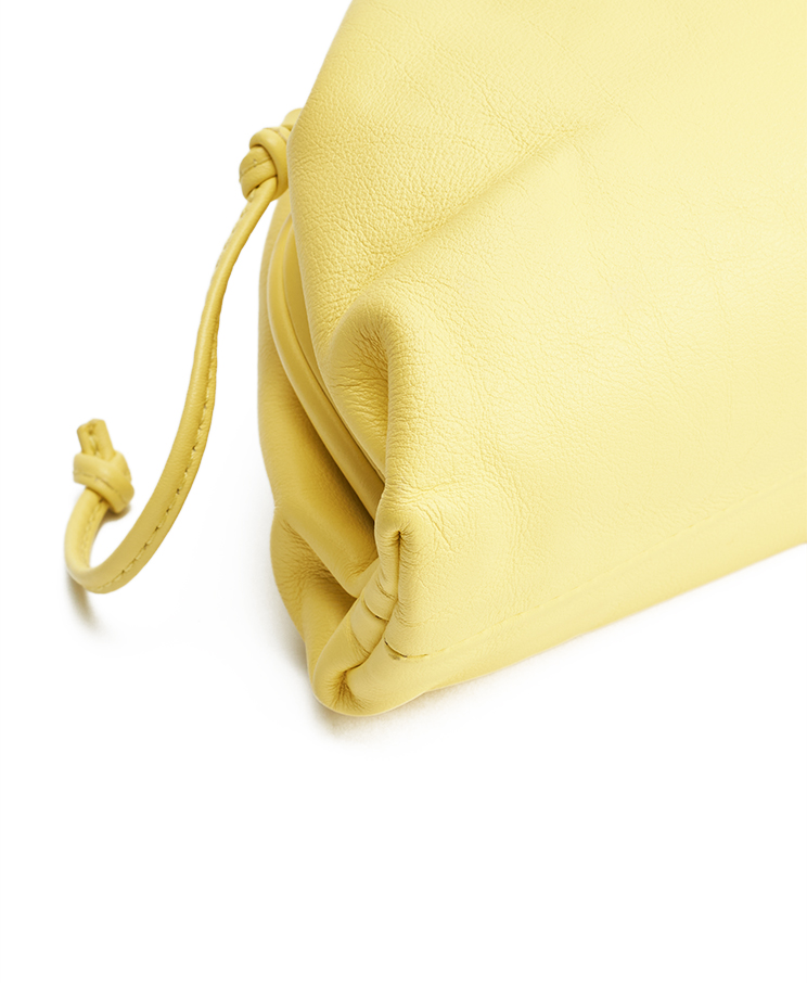 Bottega Veneta The Pouch Mini