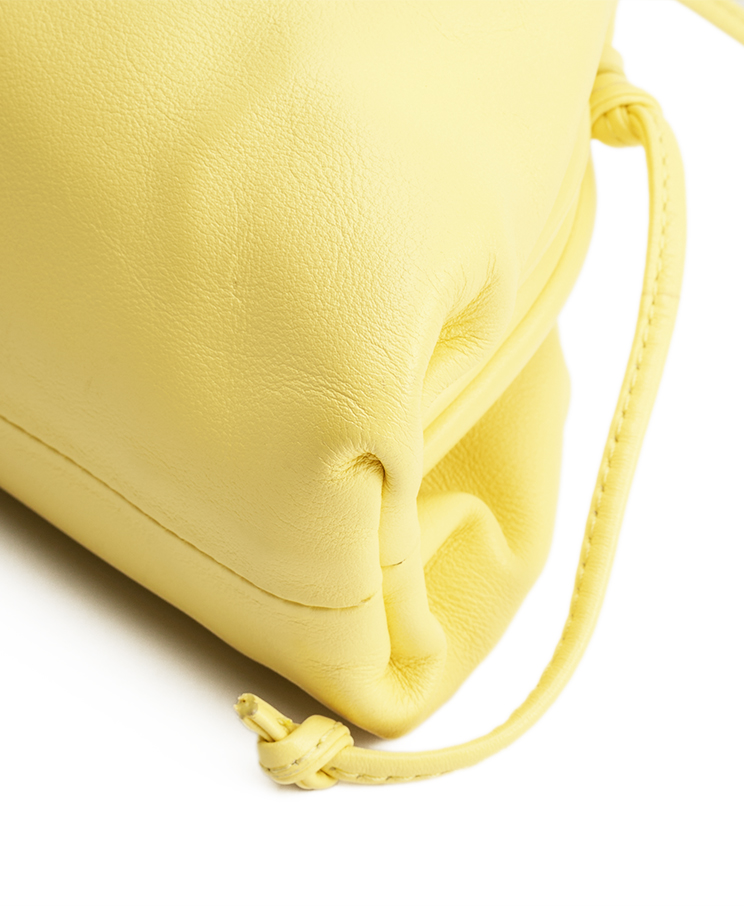 Bottega Veneta The Pouch Mini