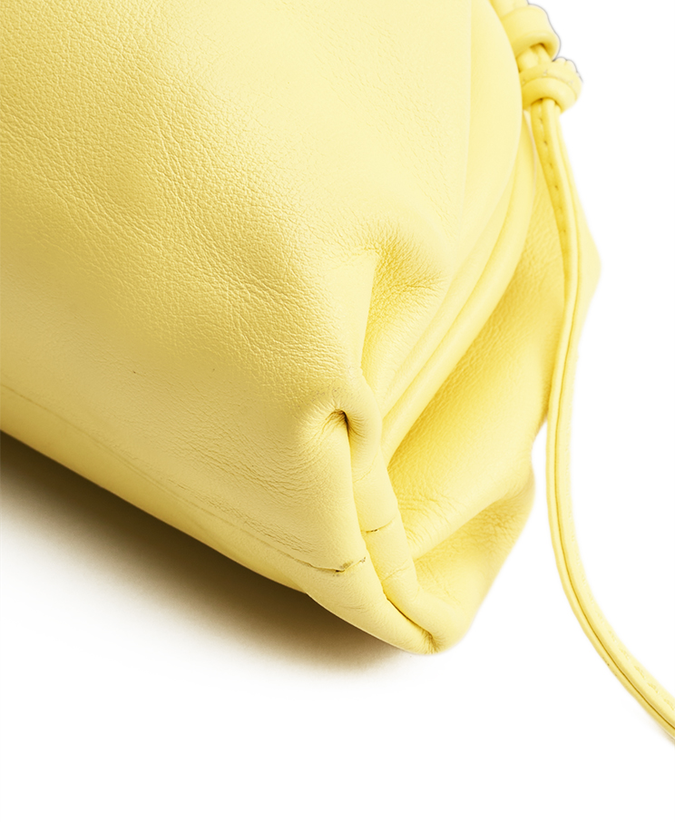 Bottega Veneta The Pouch Mini