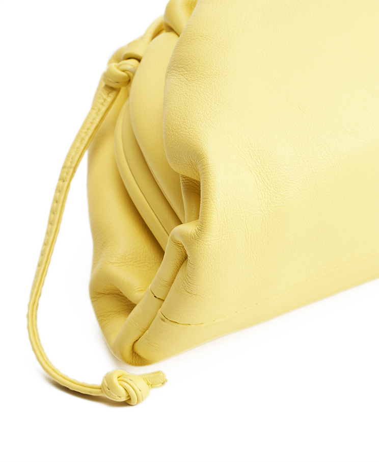 Bottega Veneta The Pouch Mini