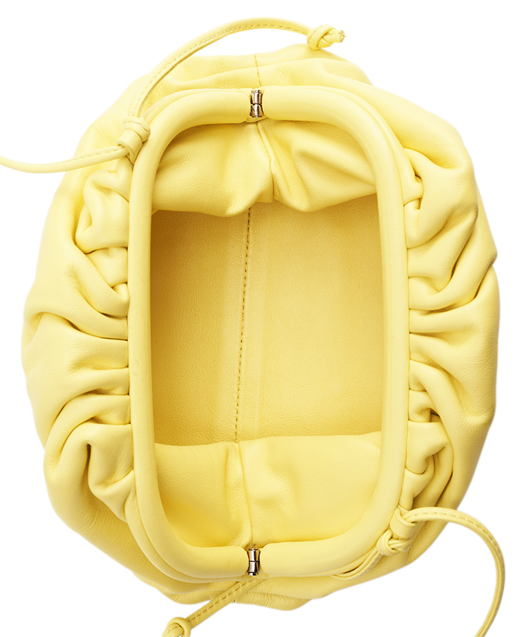 Bottega Veneta The Pouch Mini