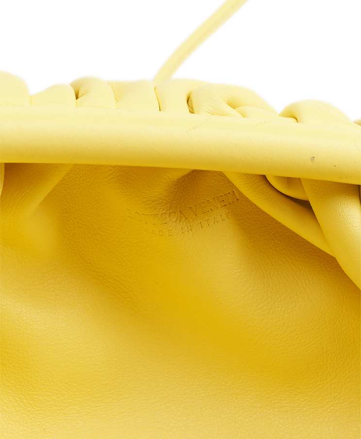 Bottega Veneta The Pouch Mini