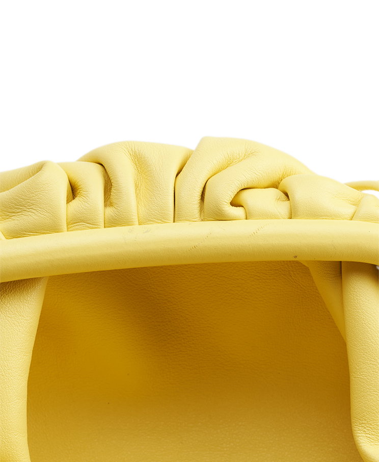 Bottega Veneta The Pouch Mini