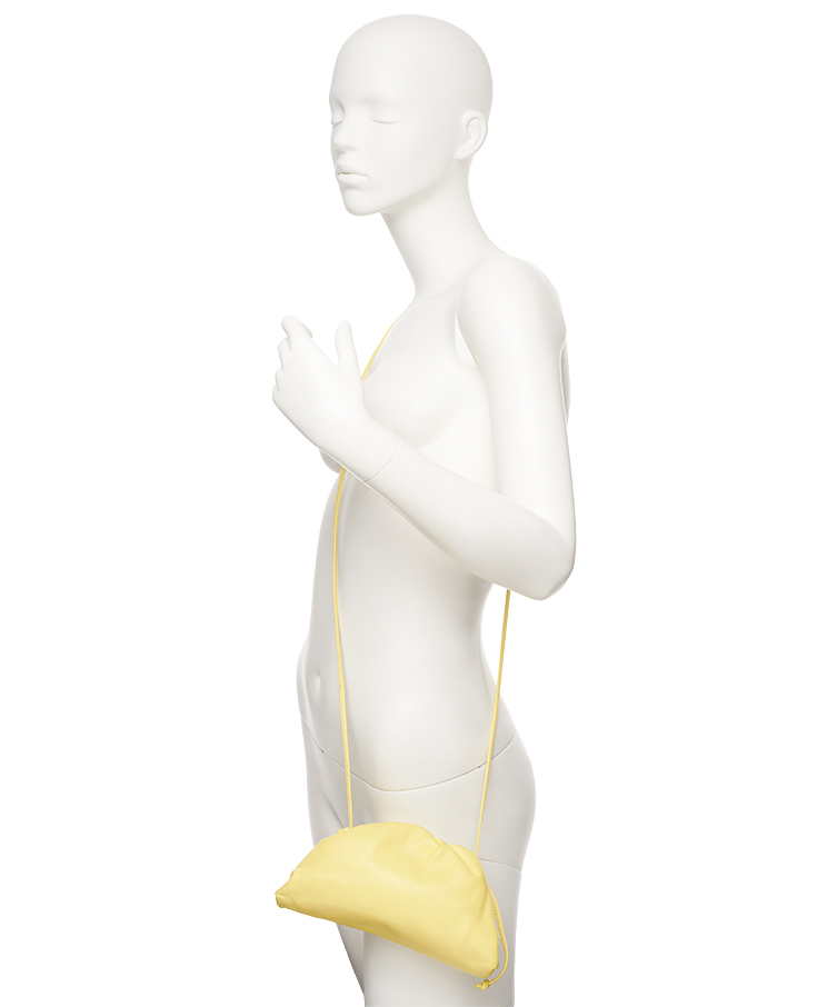 Bottega Veneta The Pouch Mini