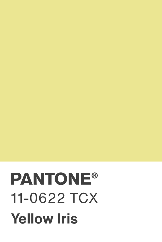 Bottega Veneta The Pouch Mini