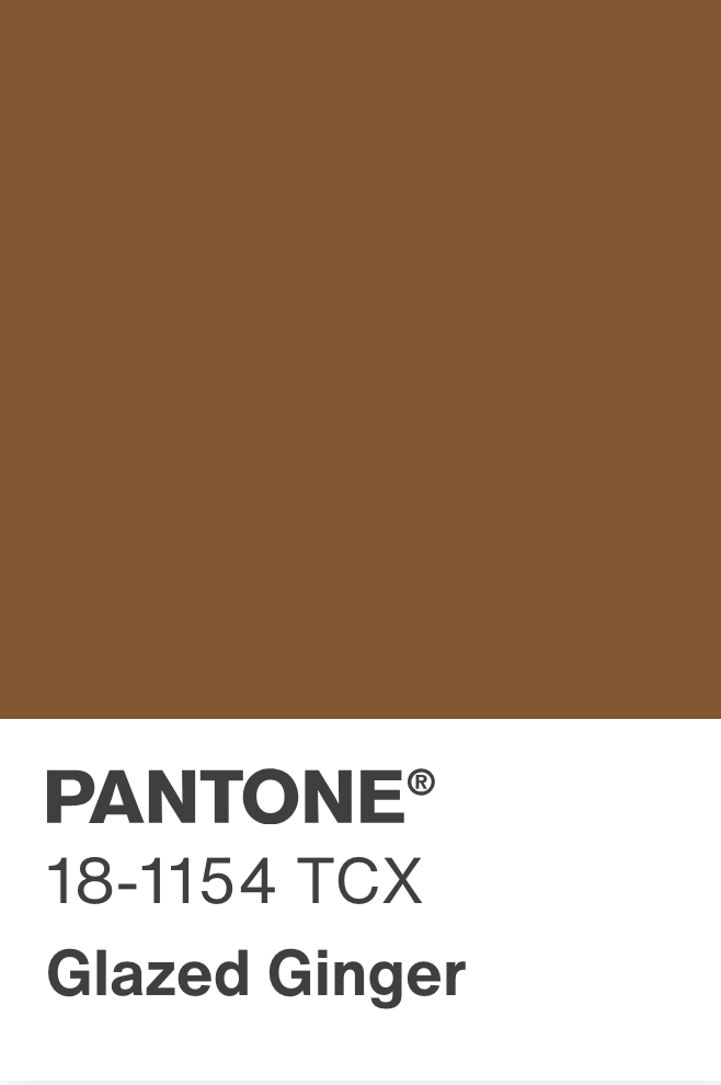 Gucci Lady Web Medium