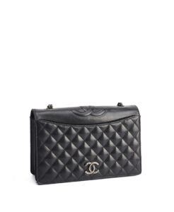 Chanel Ballerine Flap Bag