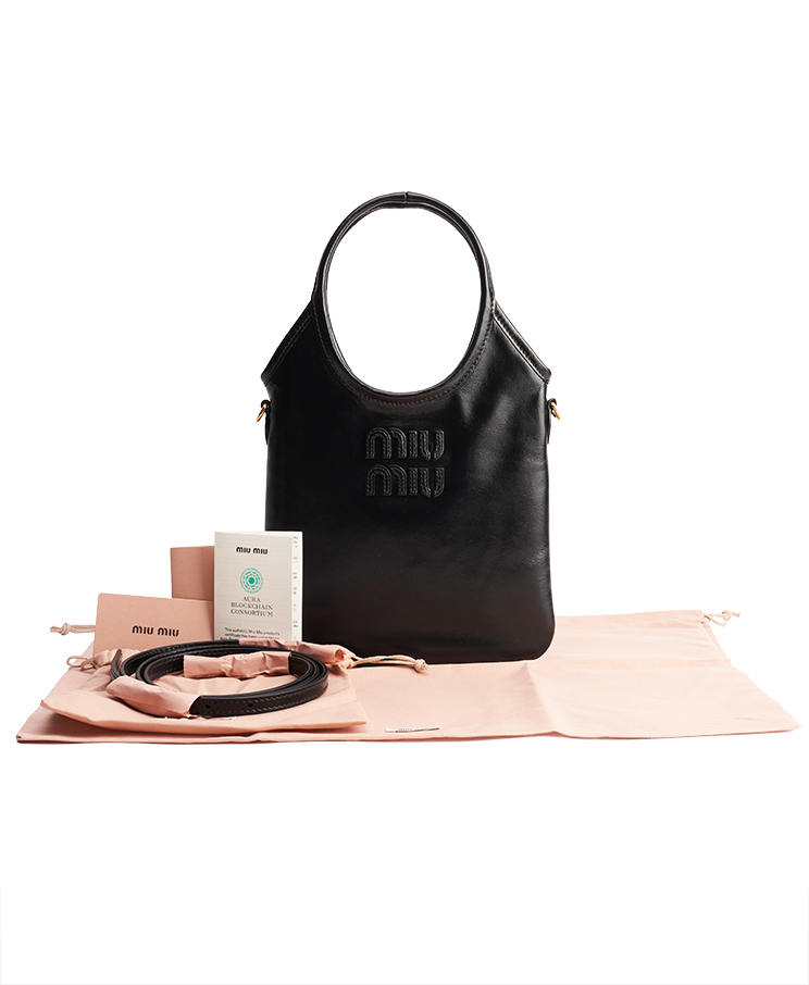 Miu Miu Ivy Mini