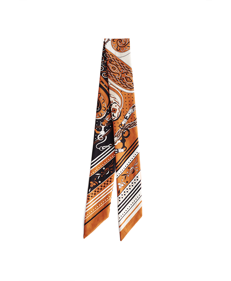 Hermes Festival des Amazones Bandana Twilly