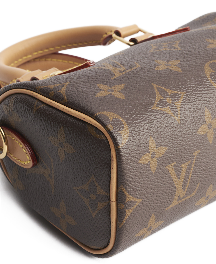 Louis Vuitton Speedy Nano