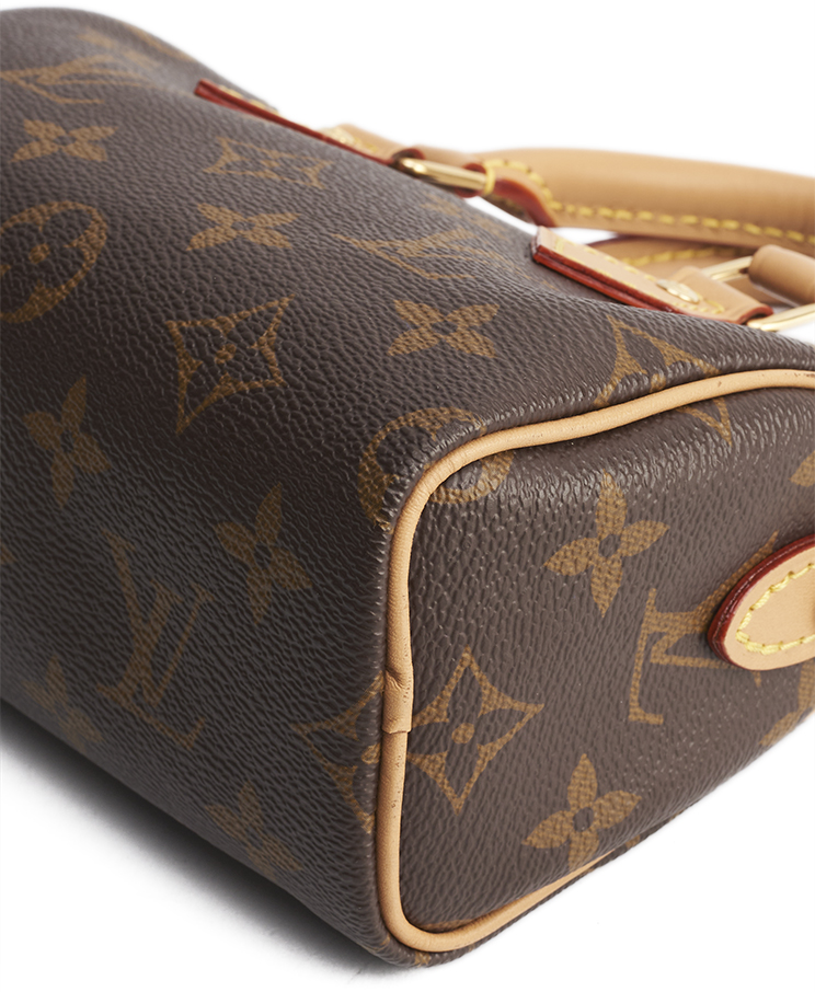 Louis Vuitton Speedy Nano